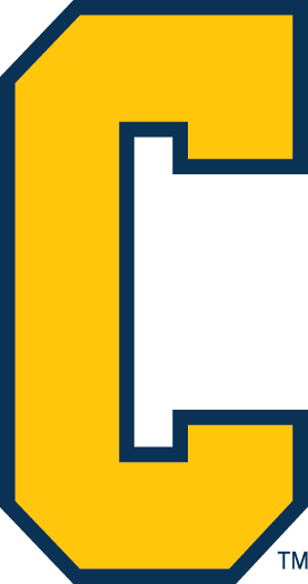 Coppin State Eagles 2017-Pres Alternate Logo diy iron on heat transfer
